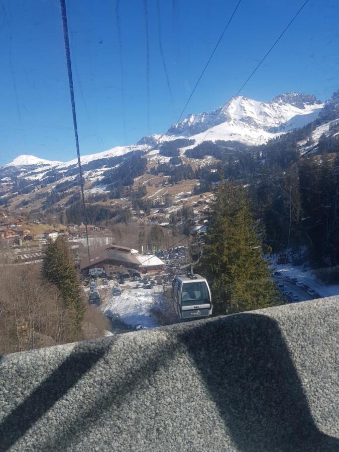 Chalet Grüneggli Adelboden Exterior foto