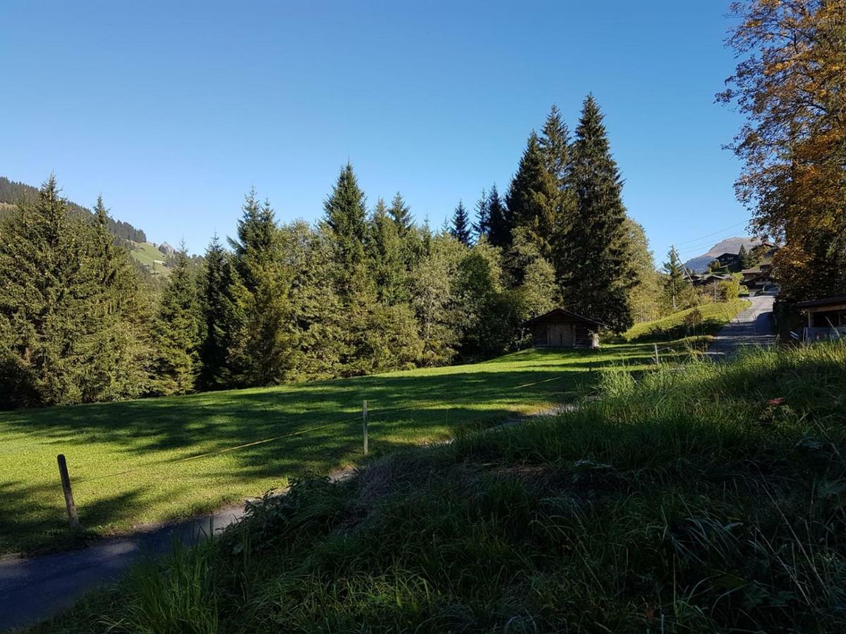 Chalet Grüneggli Adelboden Exterior foto